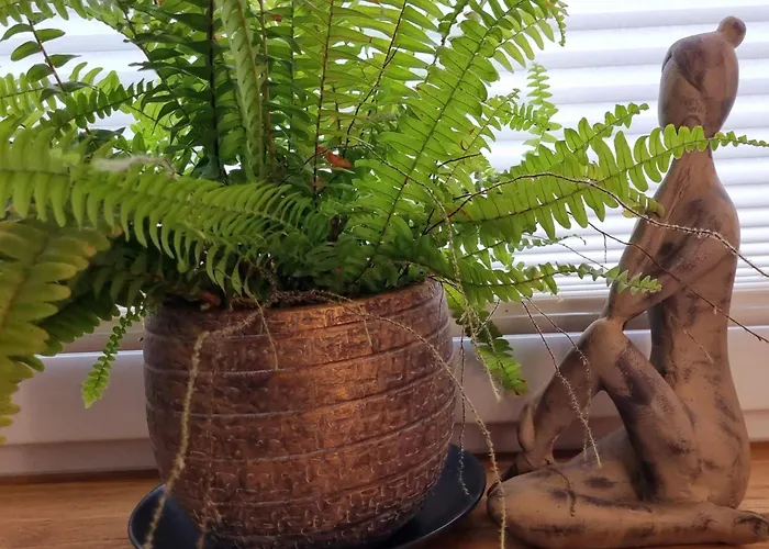 Quiet Place Lejlighed